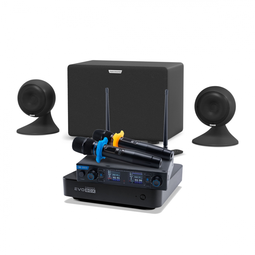 караоке-комплект EVOBOX + EvoSound Sphere 2.1 в Долгопрудном