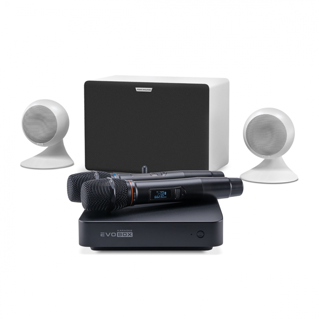 караоке-комплект EVOBOX Classic + EvoSound Sphere 2.1 в Долгопрудном