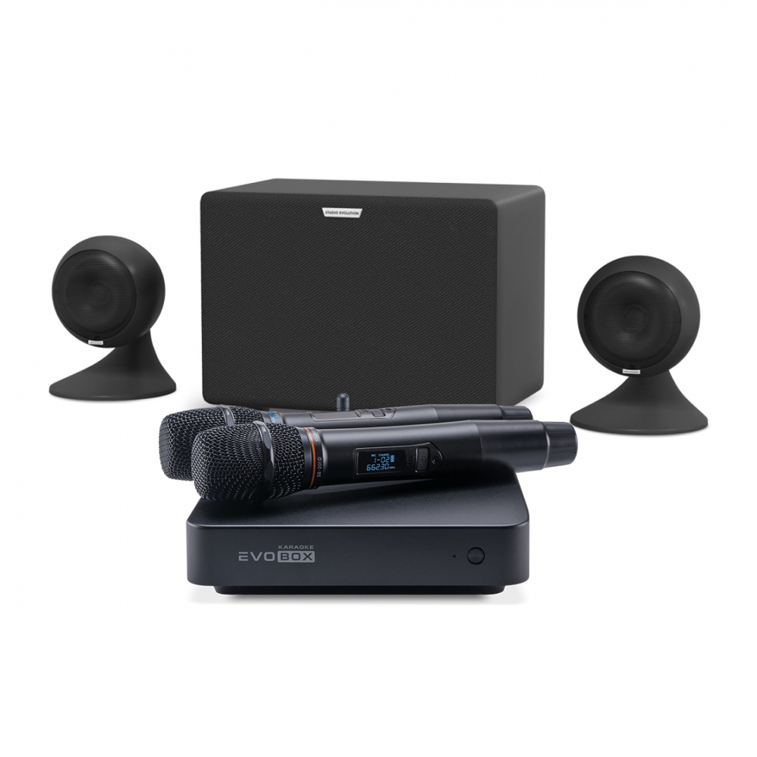караоке-комплект EVOBOX Plus + EvoSound Sphere 2.1 в Долгопрудном