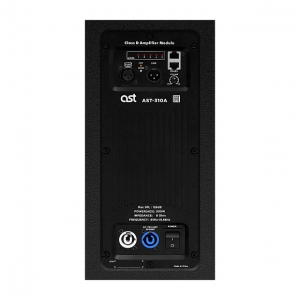 Активная акустическая система AST-310A в Долгопрудном