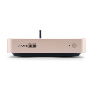 EVOBOX Classic караоке-система для дома в Долгопрудном