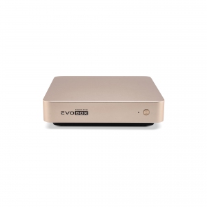 EVOBOX с микрофонами в Долгопрудном